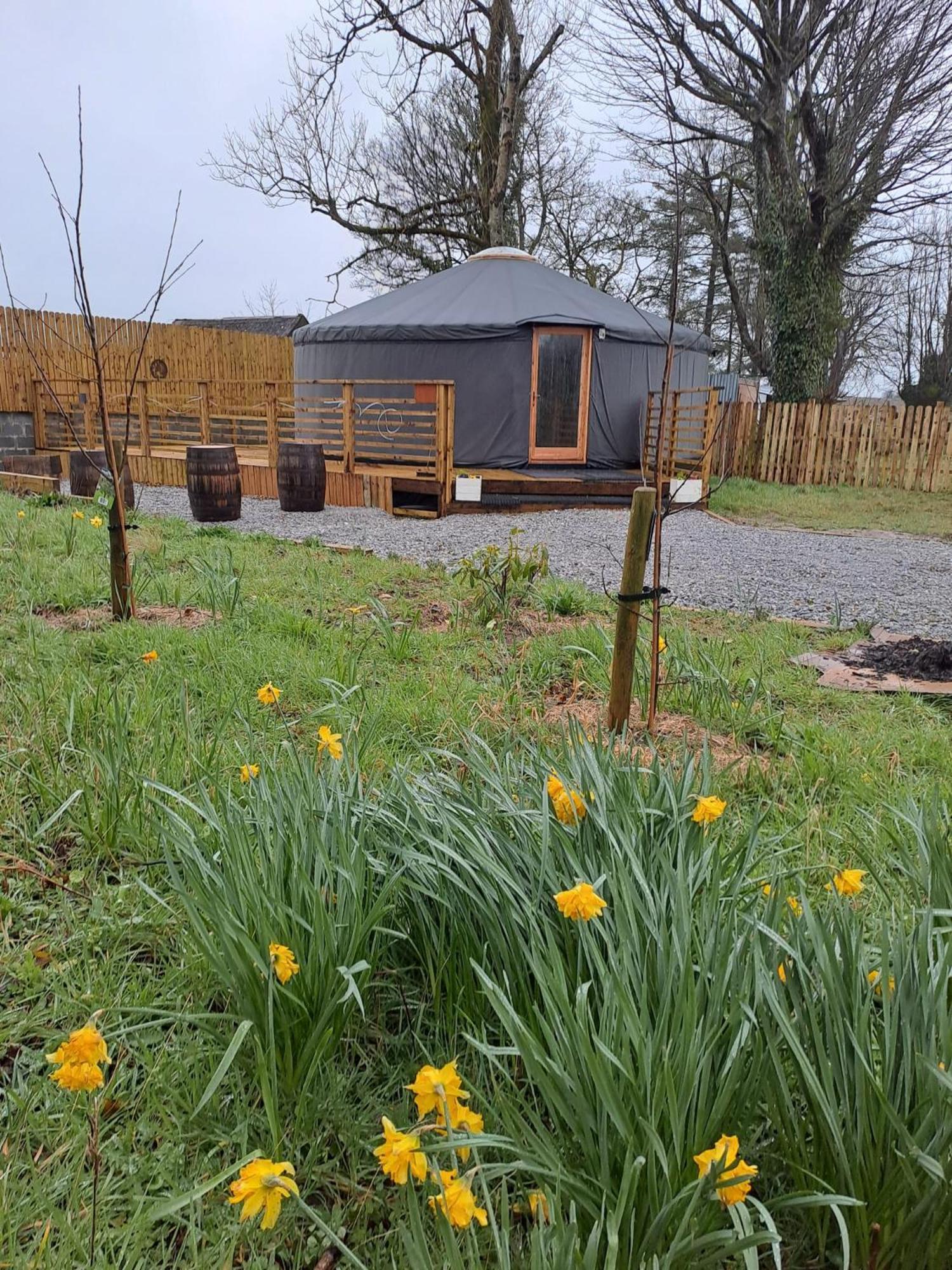The Snowdrop Hotel Galway Luaran gambar